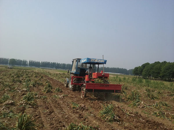 仙人掌app下载官网入口收获机厂家
